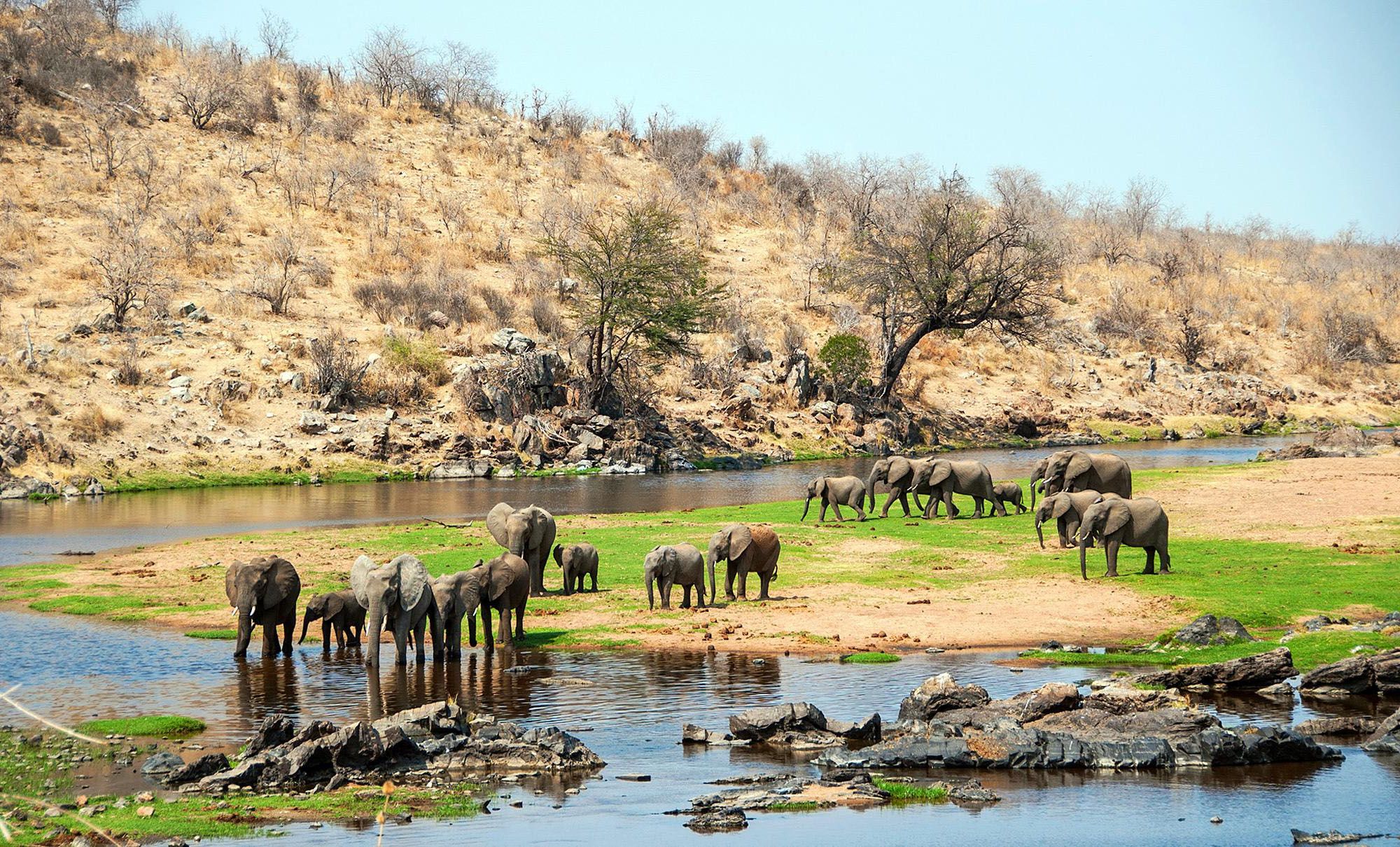 Река Руаха (Great Ruaha River)